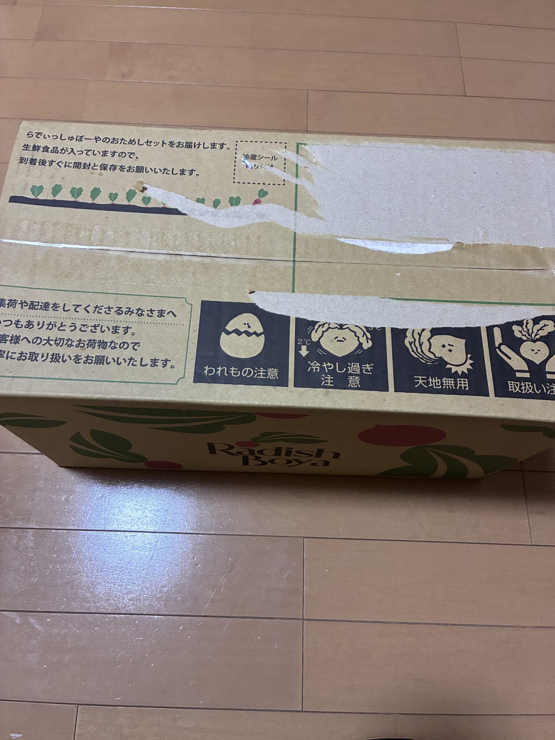 らでぃっしゅぼーやのおためしセット、未開封の外箱